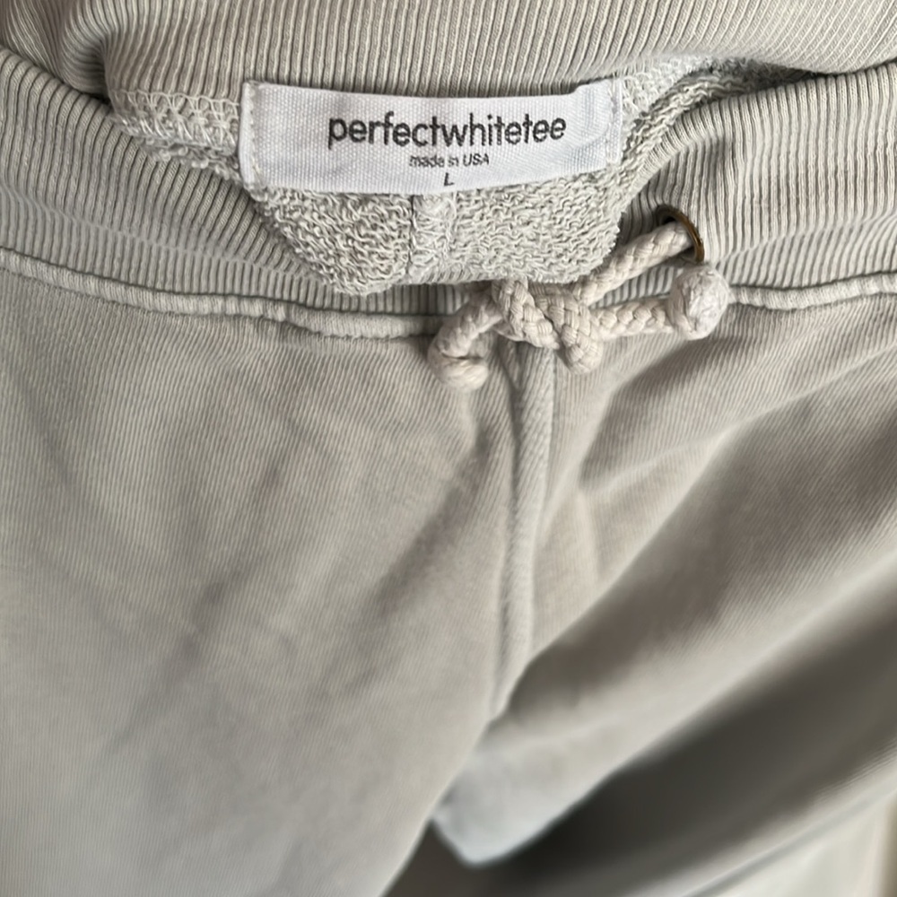perfectwhitetee French Terry Jogger Mint Beige Grey Size Large - Picture 4 of 7